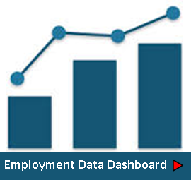 Employment Data Dashboard Image